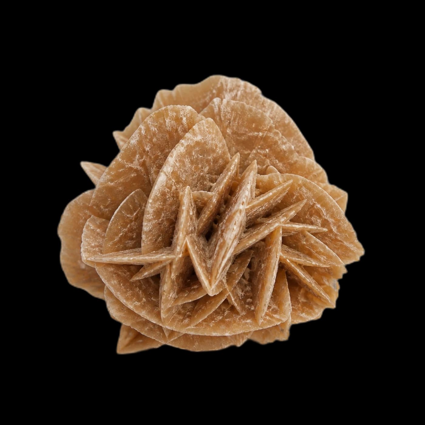 DESERT ROSE SPECIMEN